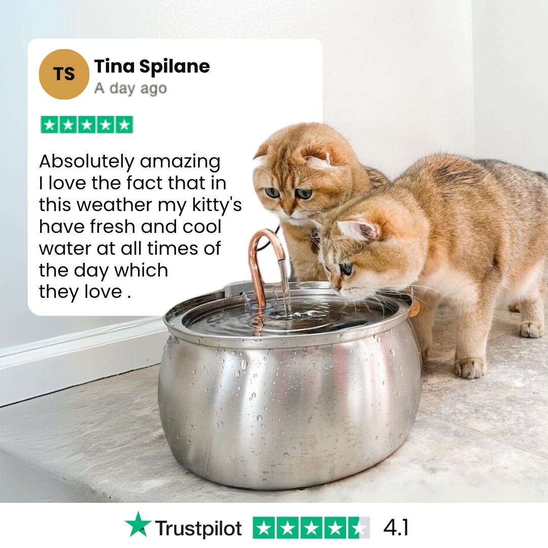 Kit de salud y felicidad para gatos The KittySpout™