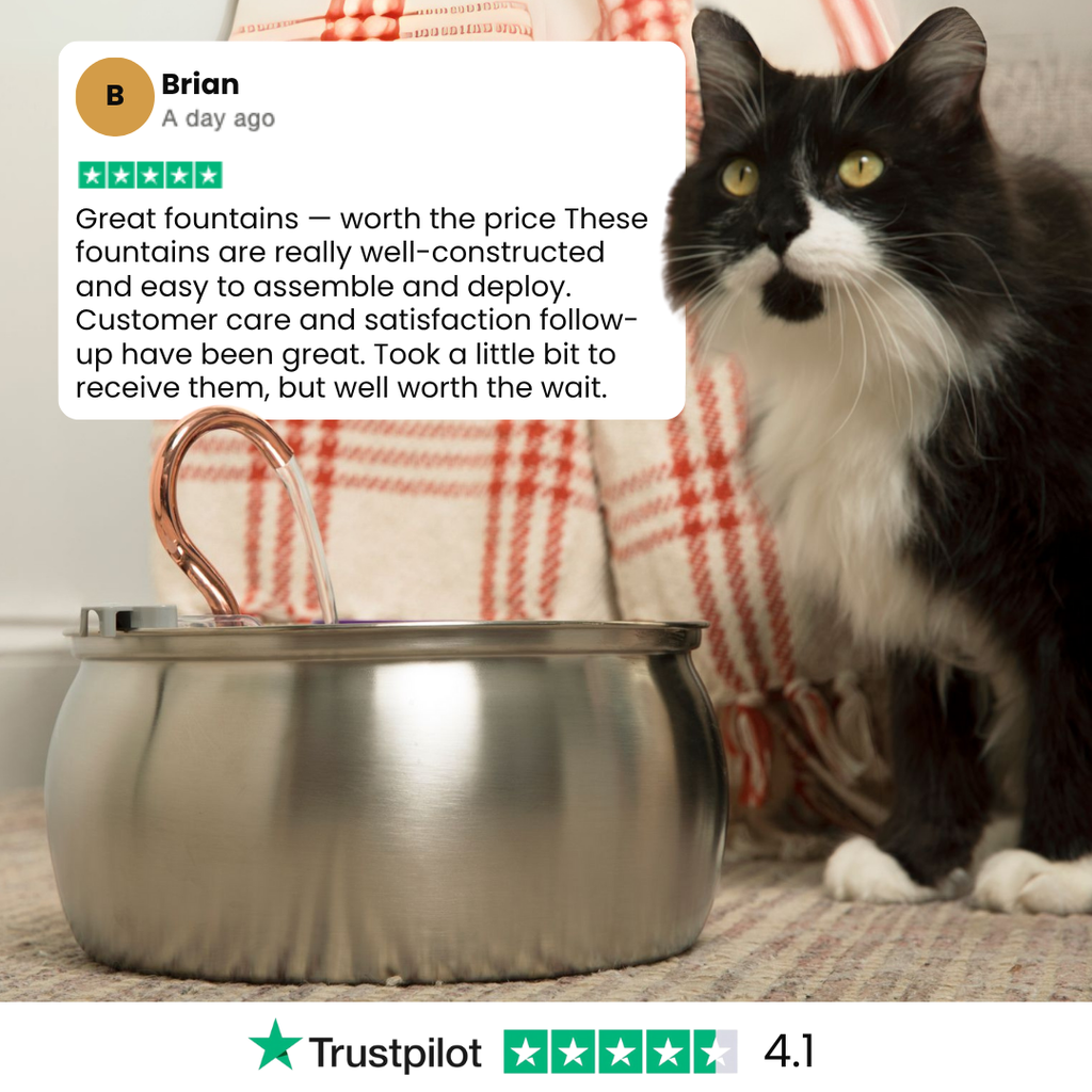 Kit de salud y felicidad para gatos The KittySpout™