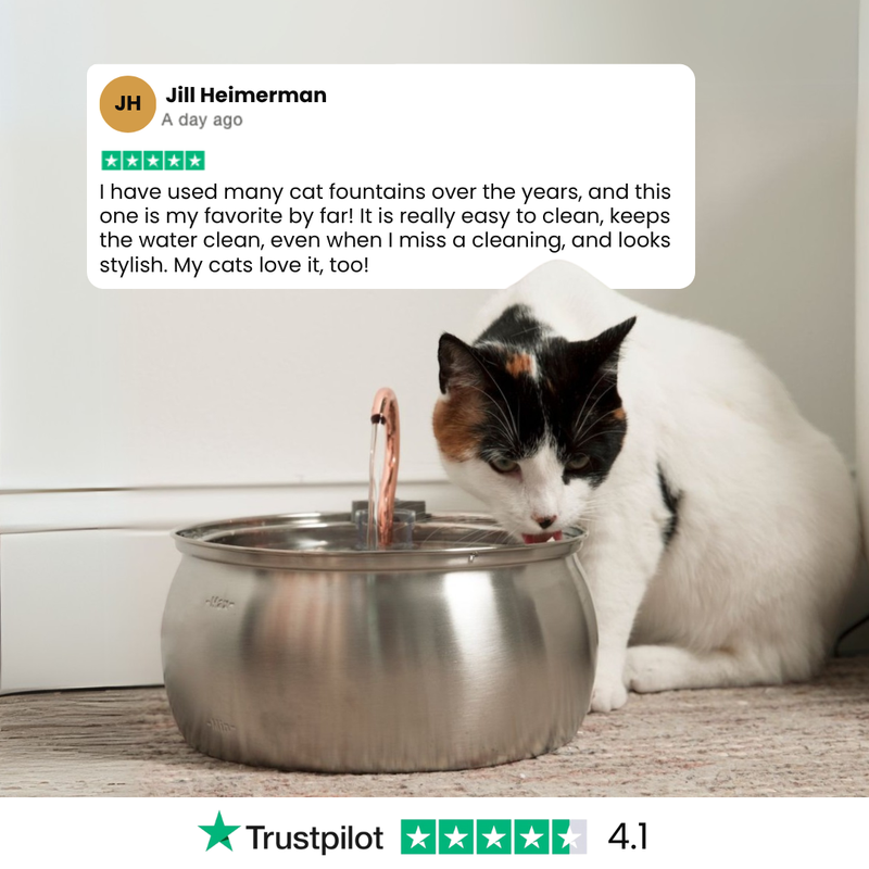 KittySpout™