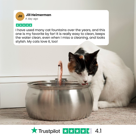 Le KittySpout™