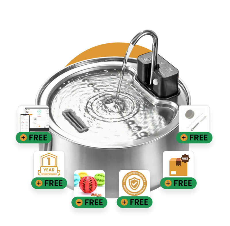 Ready to Improve Your Dog’s Hydration? Try DoggySpout™ Risk-Free Today