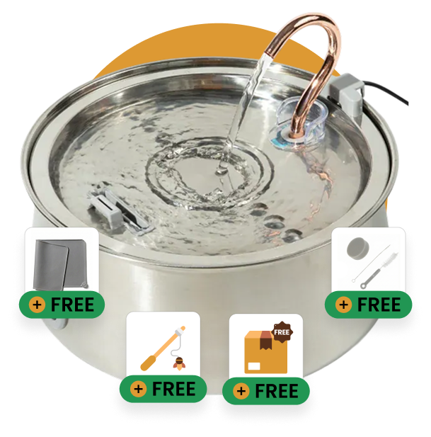 Ready to Improve Your Cat’s Hydration? Try KittySpout™ Risk-Free Today