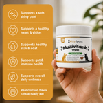 KittySpout Multivitamin Chews