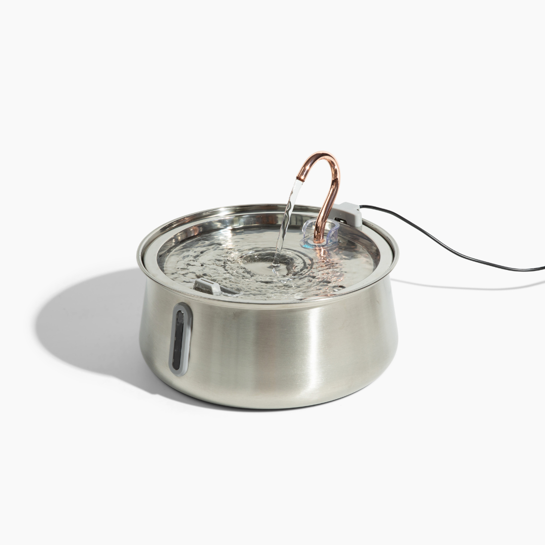 Pre-Owned The KittySpout 2.0 - Health & Happiness Cat Kit - 4 Month: KittySpout + 8 filter sets + AC adapter + FREE gift