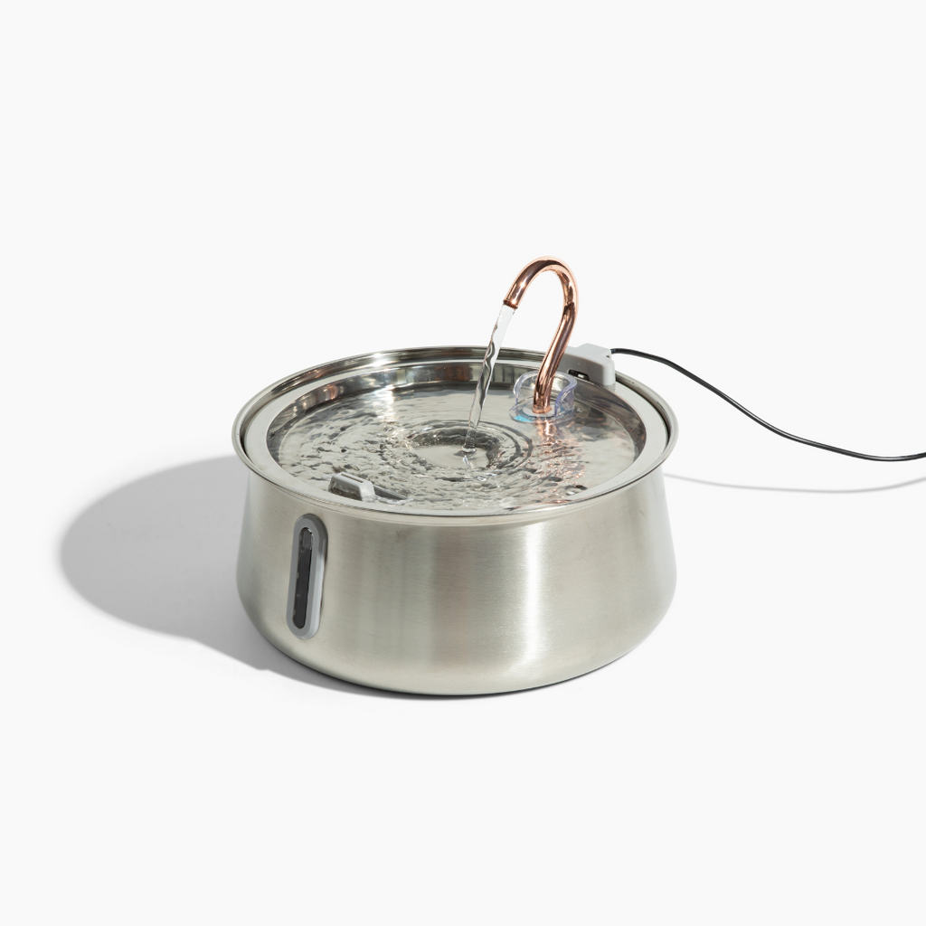 Pre-Owned The KittySpout 2.0 - Health & Happiness Cat Kit - 6 Month: KittySpout + 12 filter sets + extra pump + AC adapter + FREE gift