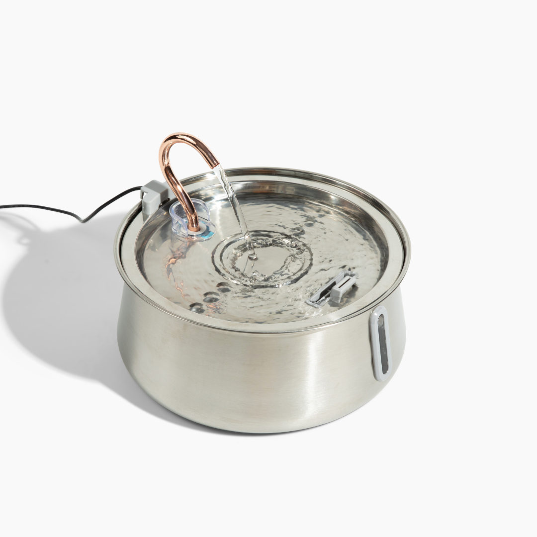 Pre-Owned The KittySpout 2.0 - Health & Happiness Cat Kit - 4 Month: KittySpout + 8 filter sets + AC adapter + FREE gift