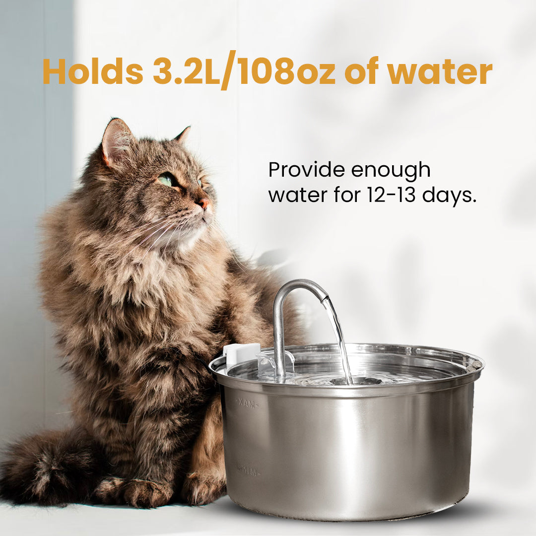 The Purrr-fect KittySpout Kit