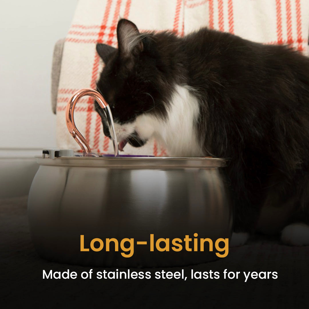 Like New KittySpout Value Bundle - 4L