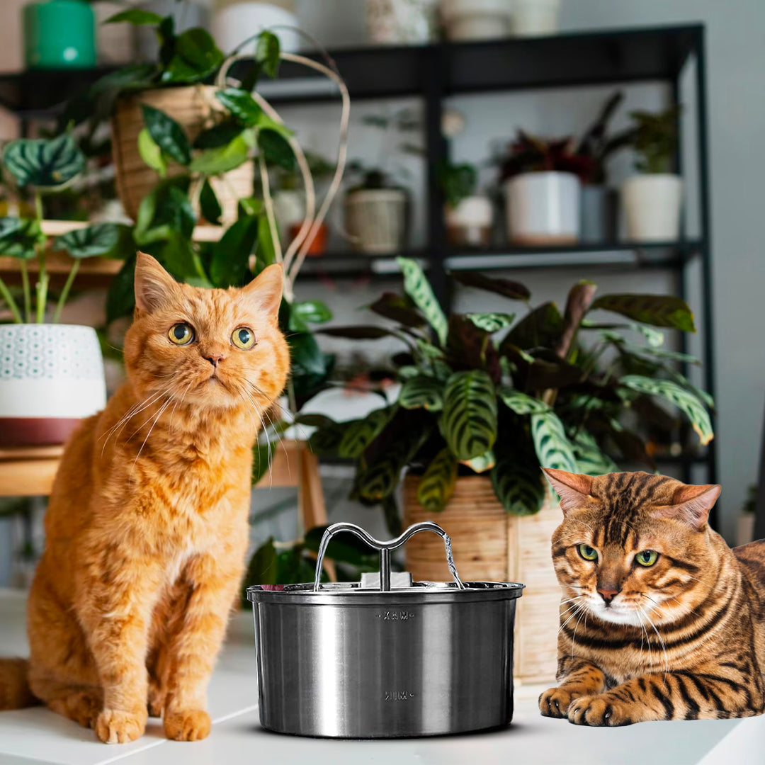 Filtros de repuesto de acero inoxidable