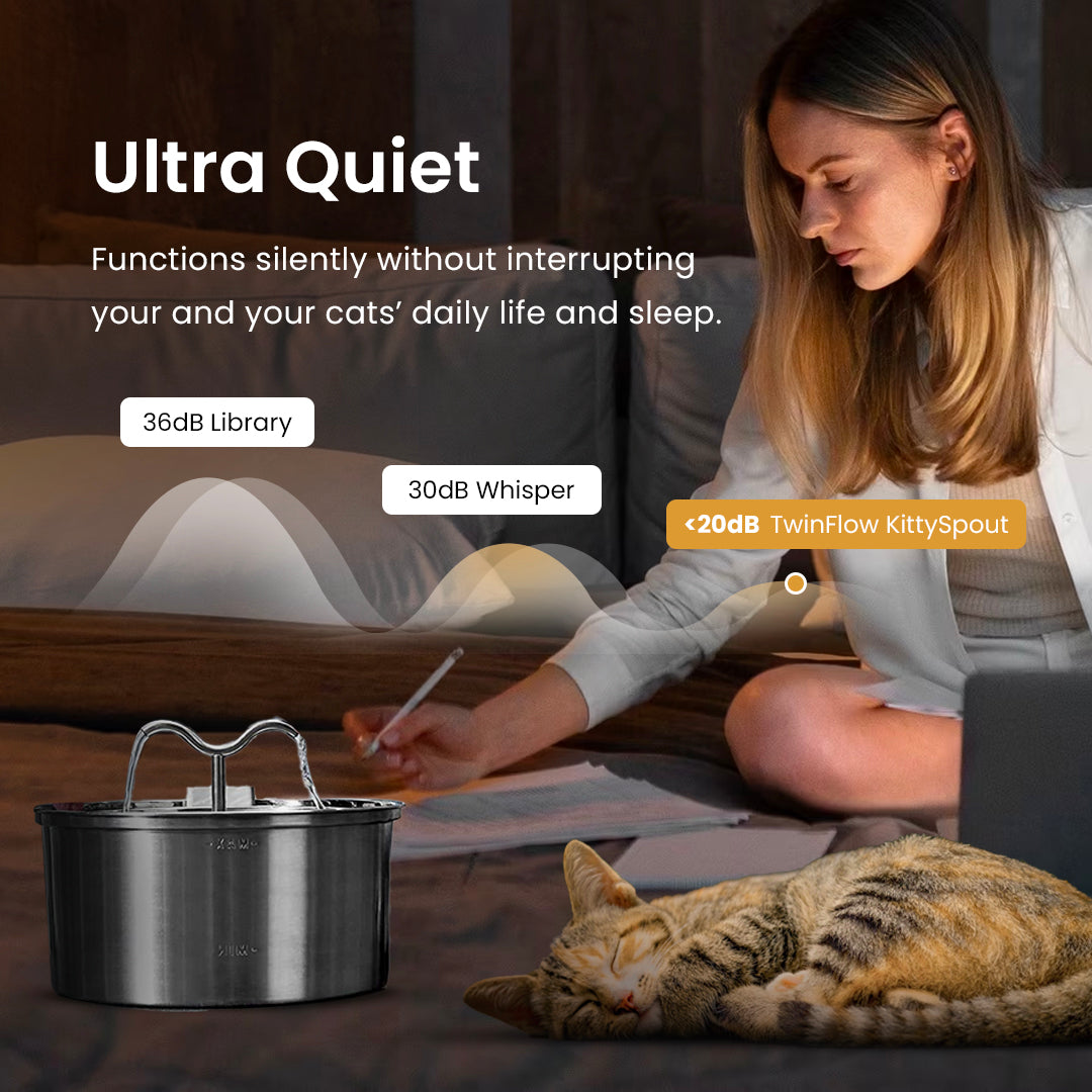 The KittySpout™ - TwinFlow Fountain