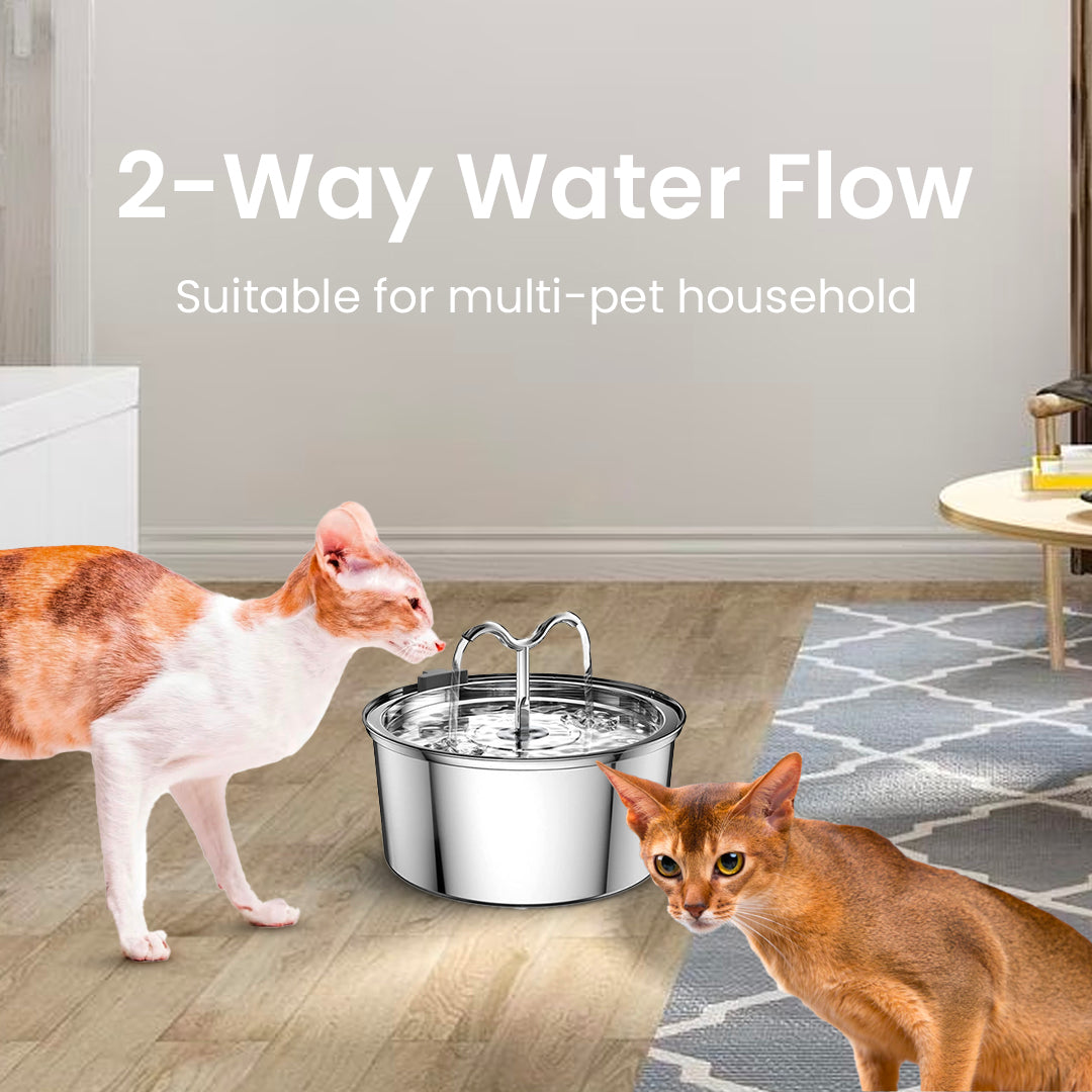 The KittySpout™ - TwinFlow Fountain