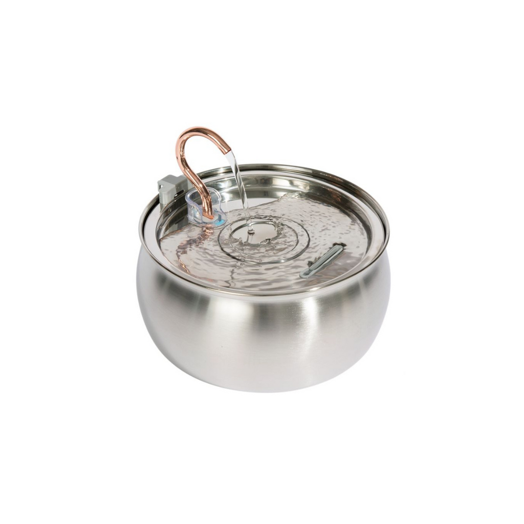 El kit Purrr-fect KittySpout