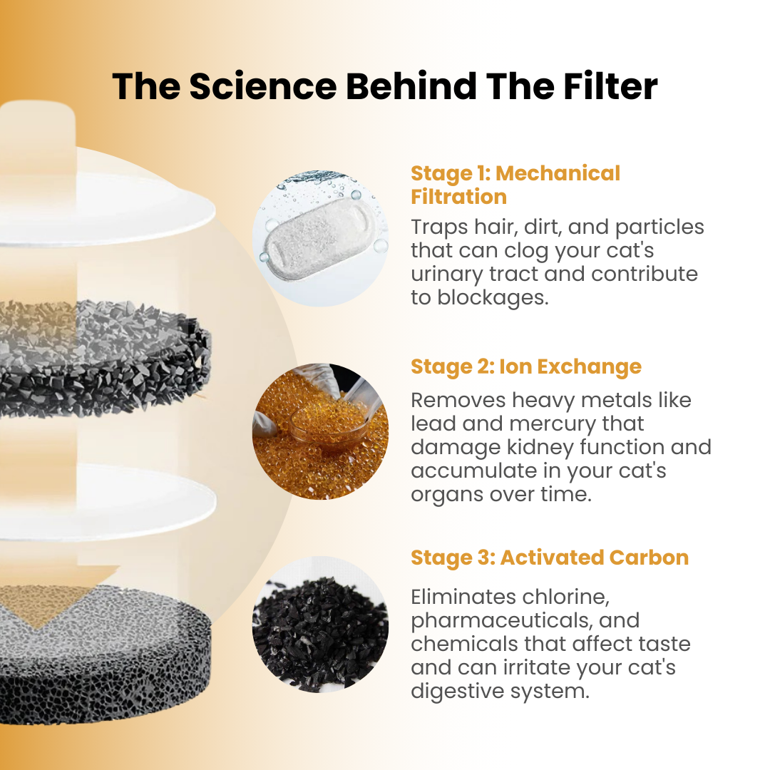 Kit de salud y felicidad para gatos The KittySpout™