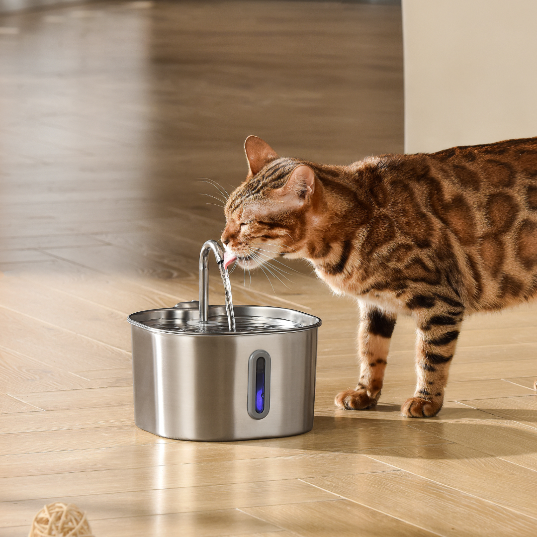 KittySpout stainless steel fountain on a kitchen floor