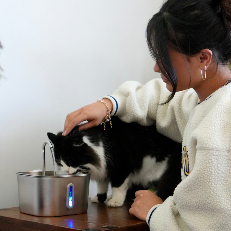 The KittySpout™ - 2.2L Fountain 2–month Kit