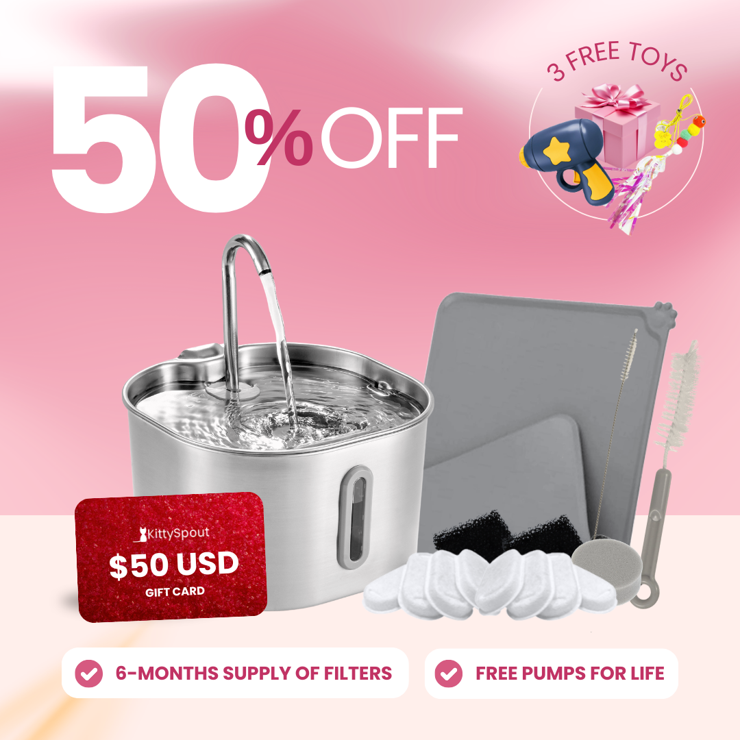 The KittySpout™ - 2.2L Value Bundle