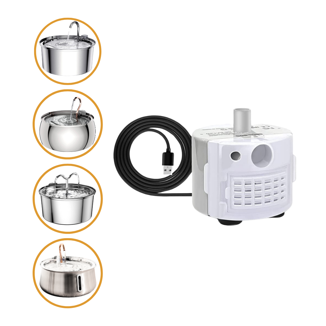 KittySpout™ - Bomba de agua