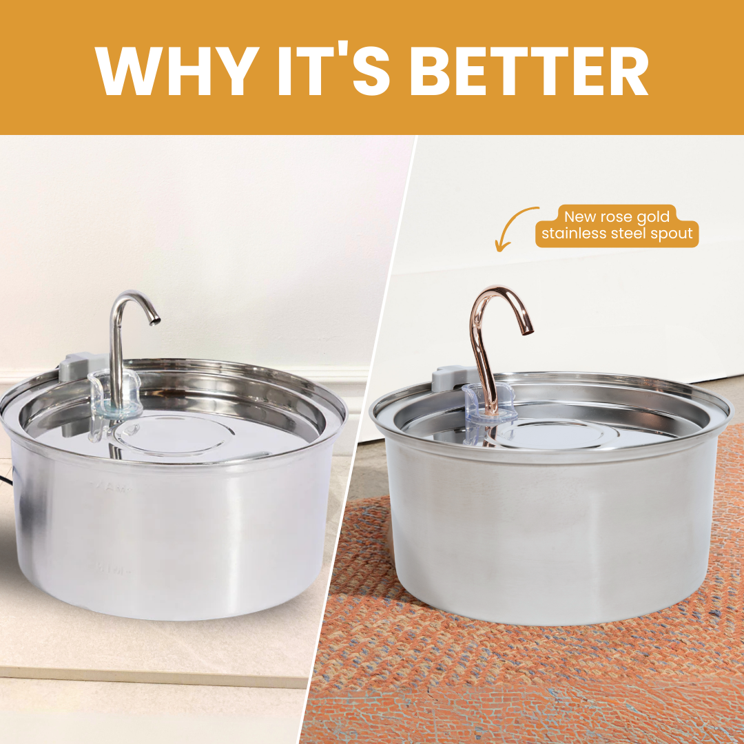 Kit de salud y felicidad para gatos The KittySpout™