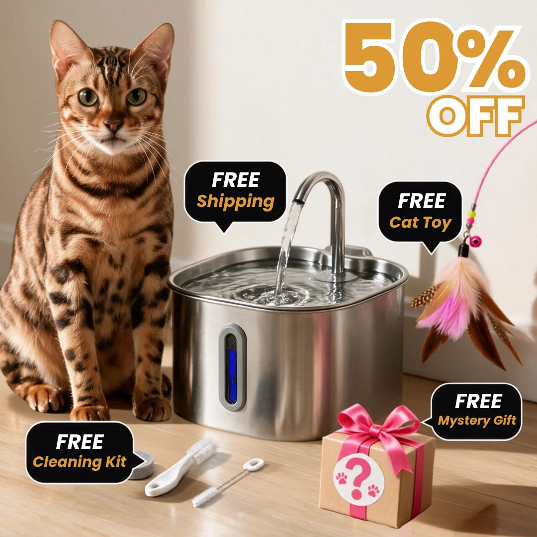 The KittySpout 2.2L fountain with its free gifts