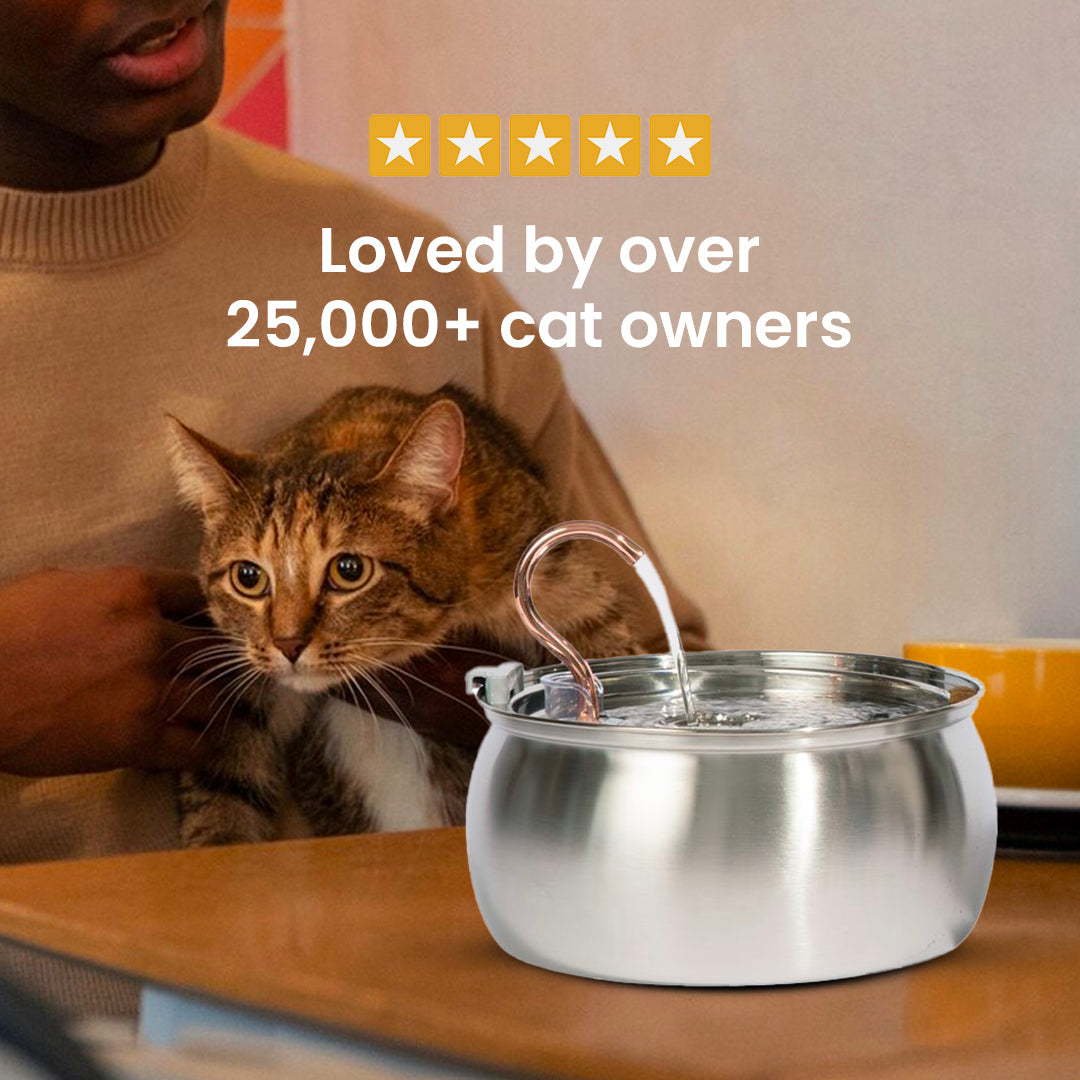 The Purrr-fect KittySpout Kit