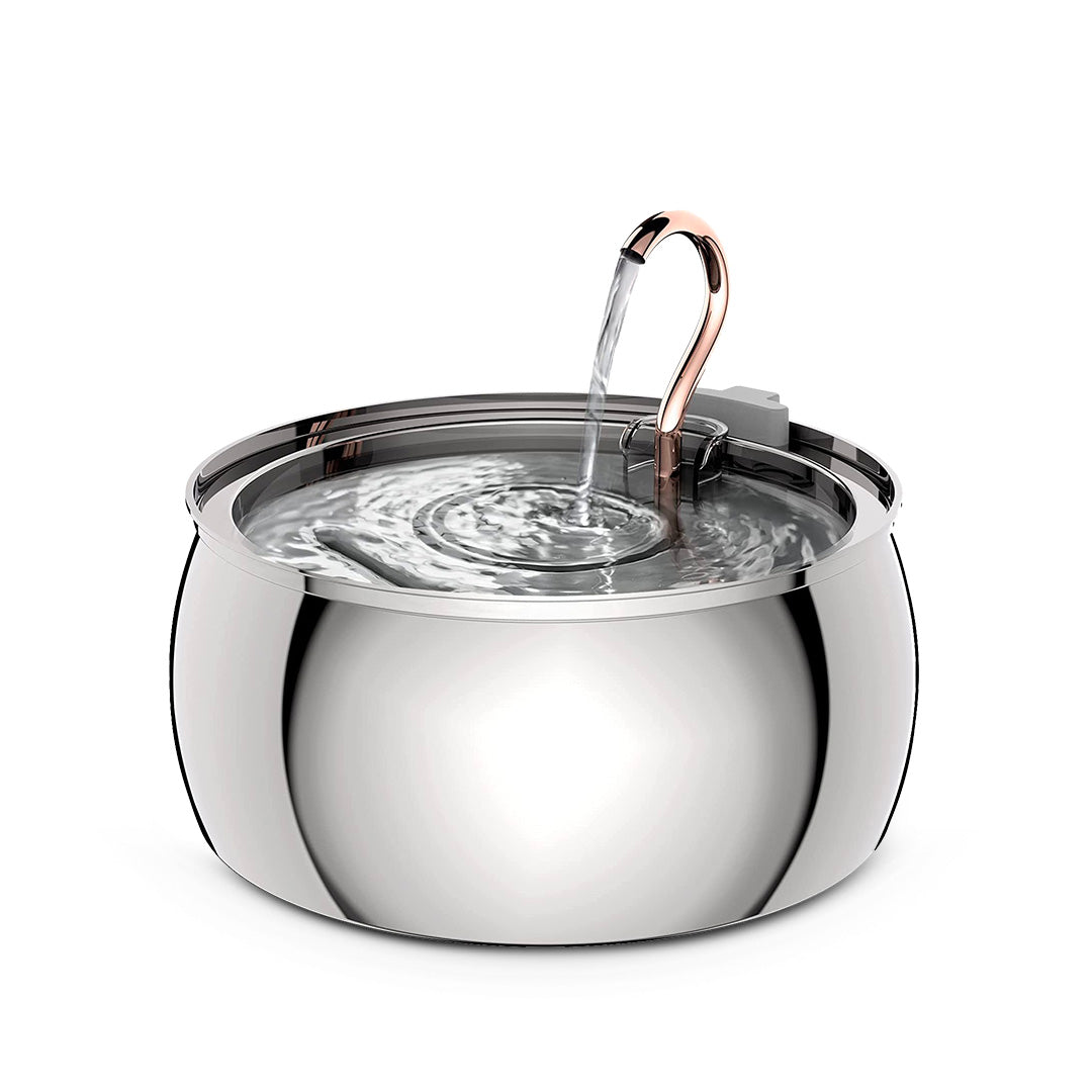 KittySpout™ - Bomba de agua