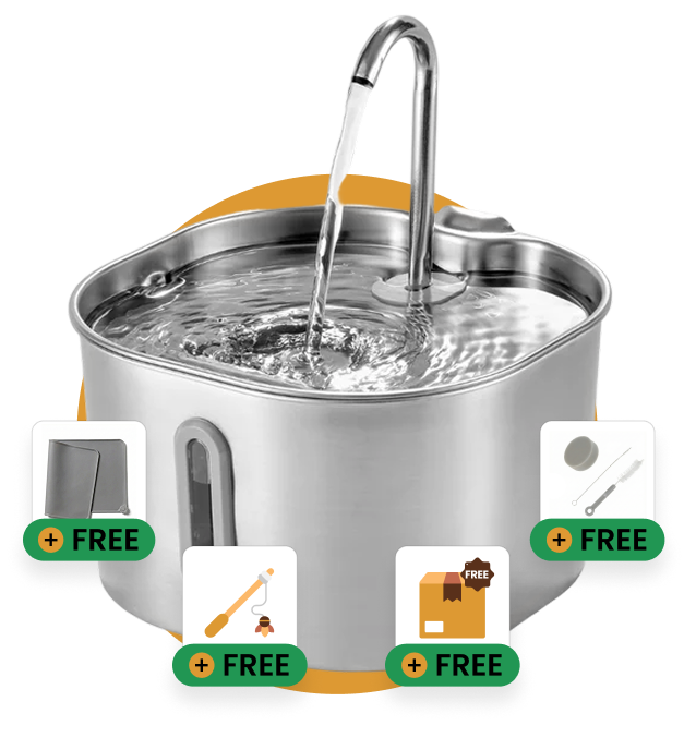 Ready to Improve Your Cat’s Hydration? Try KittySpout™ Risk-Free Today