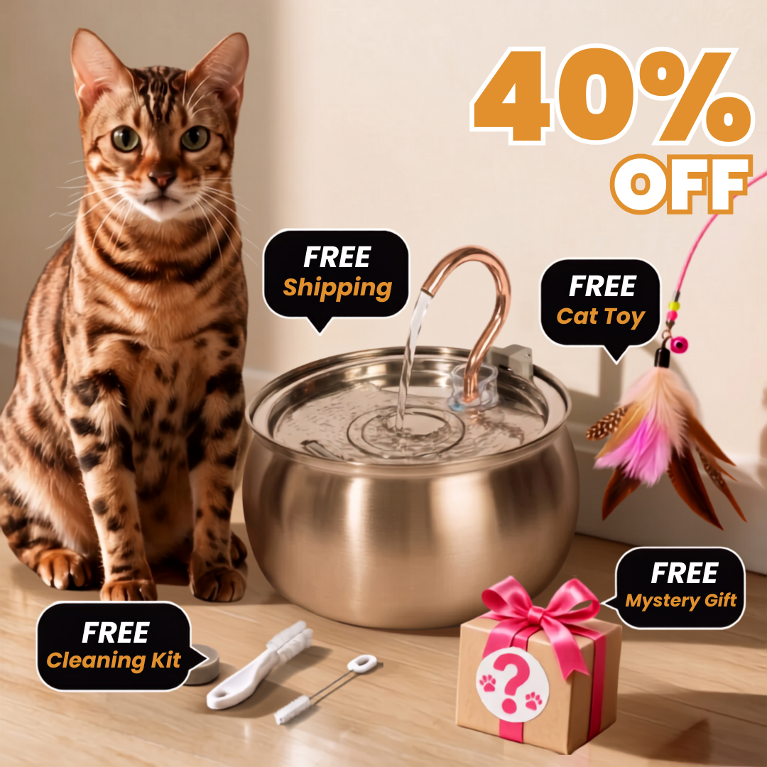 Get 40% OFF + FREE Gifts Today!