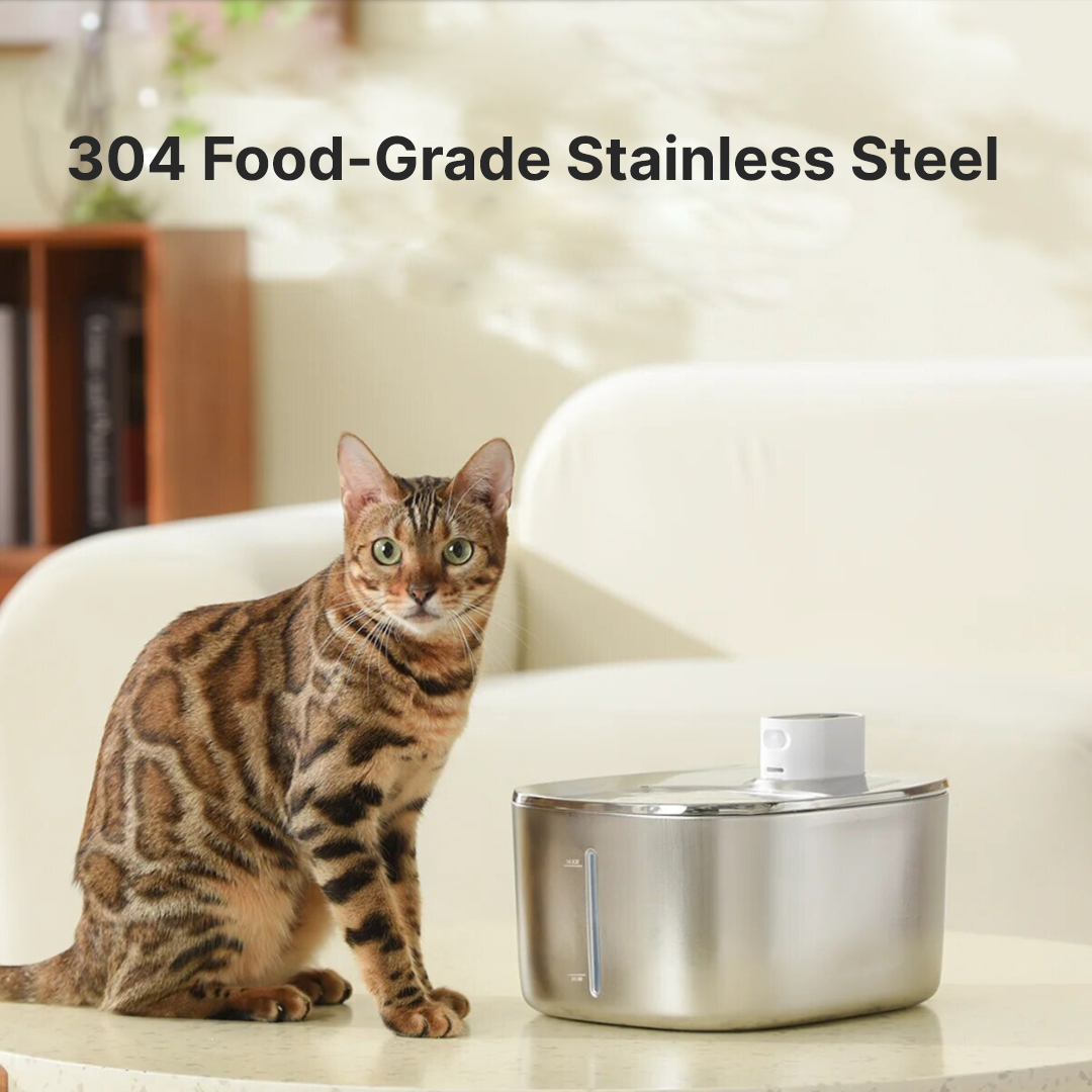 Refurbished The KittySpout - Wireless Fountain - 2 Month: Wireless KittySpout + 4 filter sets + free gift