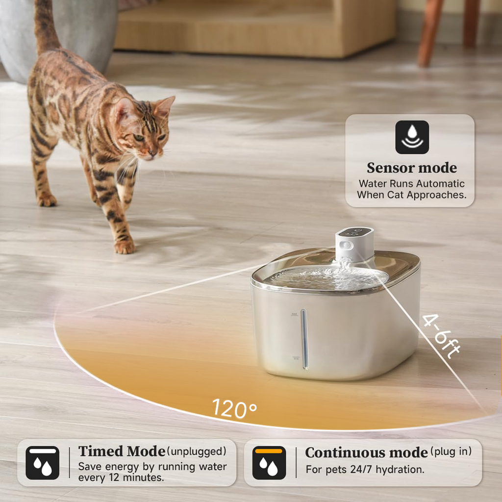 Like New The KittySpout - Wireless Fountain (Vet testimonials) - 2 Month: Wireless KittySpout + 4 filter sets + free gift