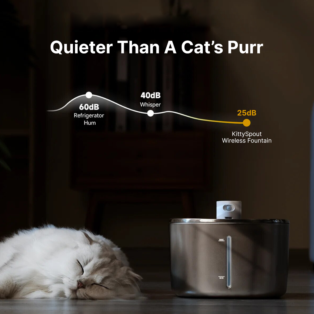 The KittySpout™ - Wireless Fountain