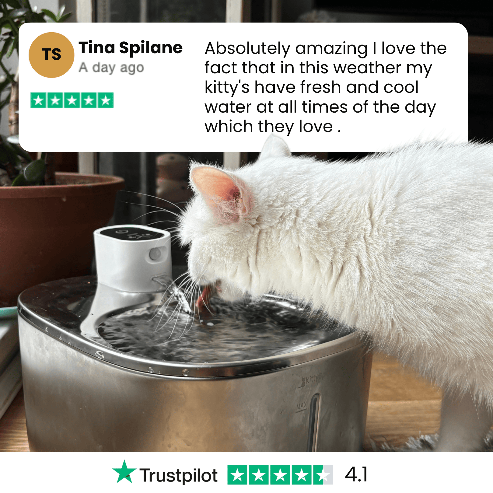 La KittySpout™ - Fuente inalámbrica