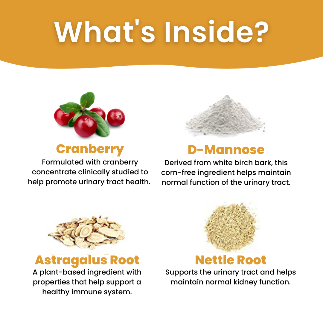 All In One Supplement Bundle