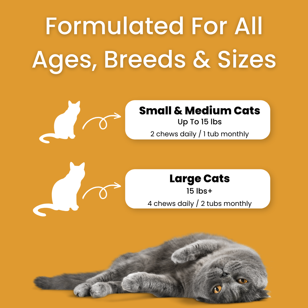 All In One Supplement Bundle